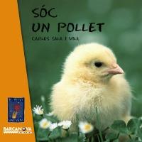 SOC UN POLLET | 9788448926618 | CARLES SALA | Llibres Parcir | Librería Parcir | Librería online de Manresa | Comprar libros en catalán y castellano online