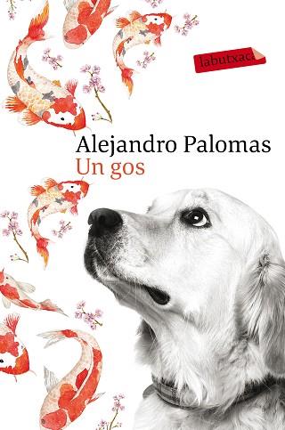UN GOS | 9788416600625 | ALEJANDRO PALOMAS | Llibres Parcir | Llibreria Parcir | Llibreria online de Manresa | Comprar llibres en català i castellà online