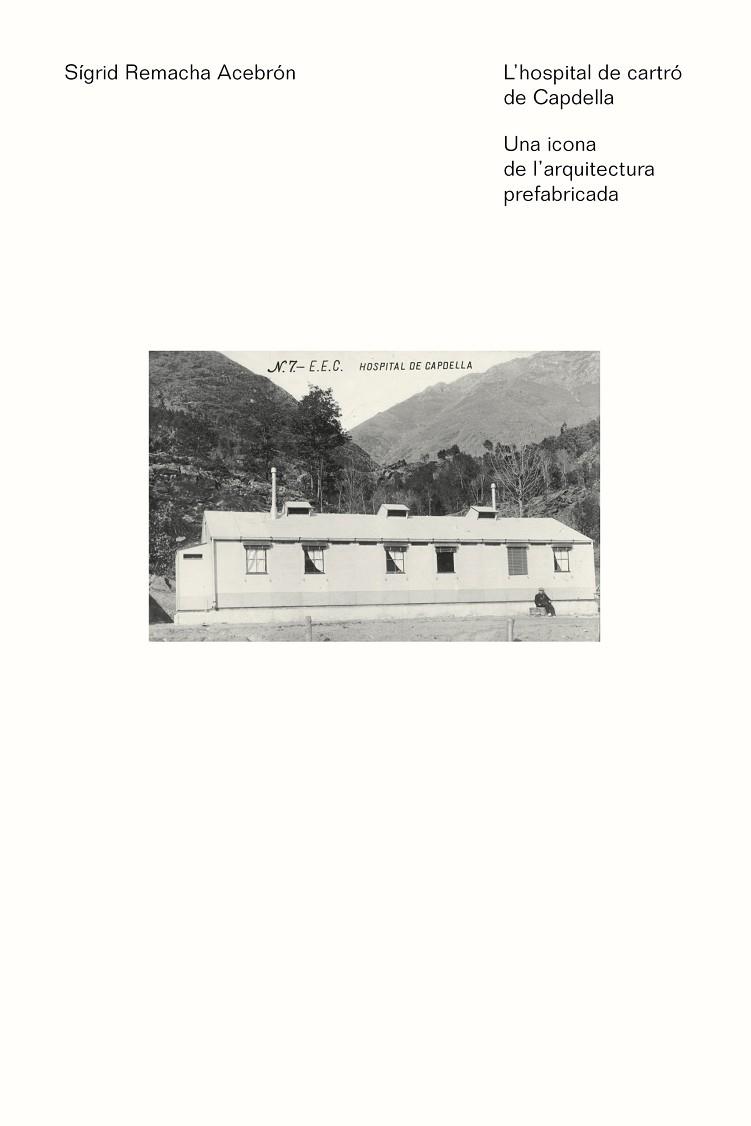 L'HOSPITAL DE CARTRÓ DE CAPDELLA | 9788497667579 | REMACHA ACEBRÓN, SÍGRID | Llibres Parcir | Llibreria Parcir | Llibreria online de Manresa | Comprar llibres en català i castellà online