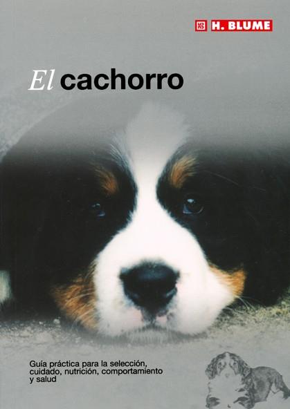EL CACHORRO | 9788489840898 | Llibres Parcir | Llibreria Parcir | Llibreria online de Manresa | Comprar llibres en català i castellà online