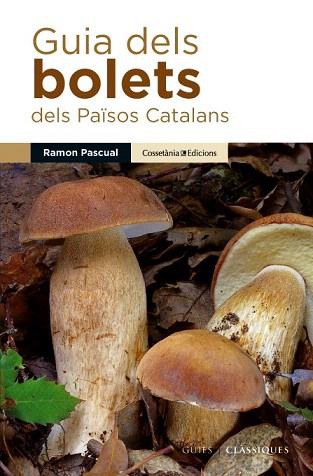 GUIA DELS BOLETS DELS PAÏSOS CATALANS | 9788490342435 | PASCUAL I LLUVIÀ, RAMON | Llibres Parcir | Librería Parcir | Librería online de Manresa | Comprar libros en catalán y castellano online