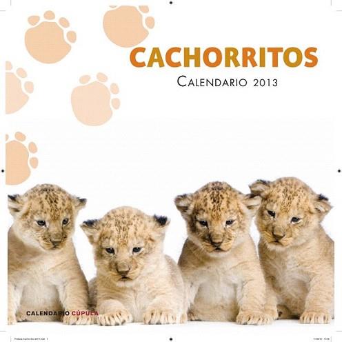 Calendario Cachorritos 2013 | 9788448006655 | AA. VV. | Llibres Parcir | Librería Parcir | Librería online de Manresa | Comprar libros en catalán y castellano online