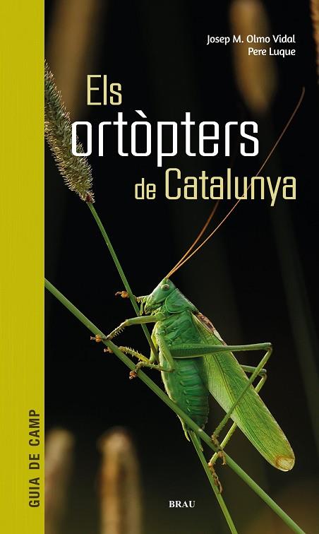 ELS ORTÒPTERS DE CATALUNYA | 9788418096266 | OLMO VIDAL, JOSEP M/LUQUE PINO, PERE | Llibres Parcir | Llibreria Parcir | Llibreria online de Manresa | Comprar llibres en català i castellà online