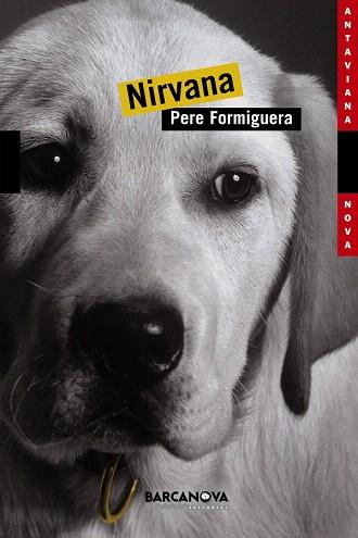 NIRVANA | 9788448919443 | FORMIGUERA PERE | Llibres Parcir | Llibreria Parcir | Llibreria online de Manresa | Comprar llibres en català i castellà online