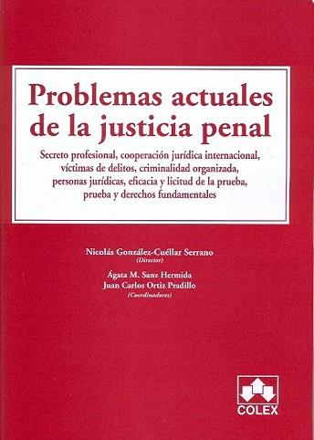 PROBLEMAS ACTUALES DE LA JUSTICIA PENAL. Secreto profesional, cooperación jurídi | 9788483423691 | González-Cuellar Serrano, N. / Sanz Hermida, A.M. / Ortiz Pradillo J.C. | Llibres Parcir | Llibreria Parcir | Llibreria online de Manresa | Comprar llibres en català i castellà online