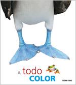 A TODO COLOR ANIMALES EN TAMAÐO NATURAL | 9786074003741 | Llibres Parcir | Librería Parcir | Librería online de Manresa | Comprar libros en catalán y castellano online