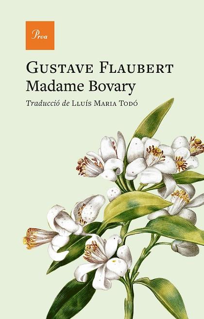 MADAME BOVARY | 9791388369070 | FLAUBERT, GUSTAVE | Llibres Parcir | Librería Parcir | Librería online de Manresa | Comprar libros en catalán y castellano online