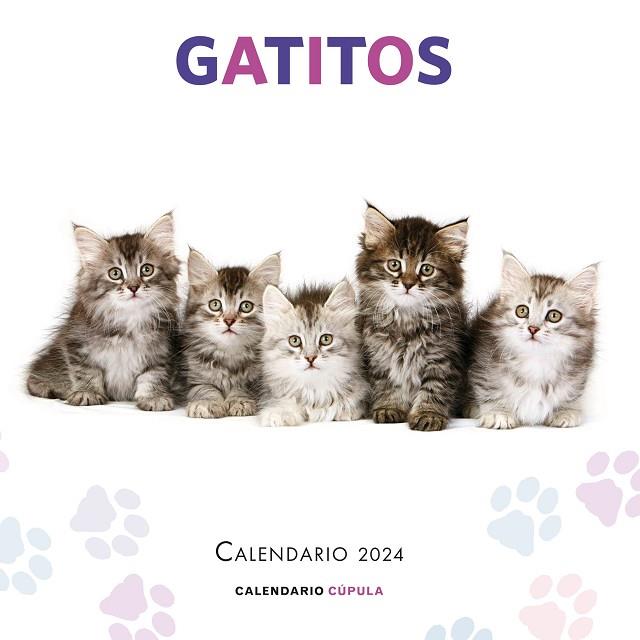 CALENDARIO GATITOS 2024 | 9788448038076 | AA. VV. | Llibres Parcir | Llibreria Parcir | Llibreria online de Manresa | Comprar llibres en català i castellà online