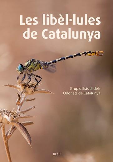 LES LIBÈL·LULES DE CATALUNYA | 9788415885467 | GRUP D'ESTUDIS DELS ODONATS DE CATALUNYA | Llibres Parcir | Llibreria Parcir | Llibreria online de Manresa | Comprar llibres en català i castellà online