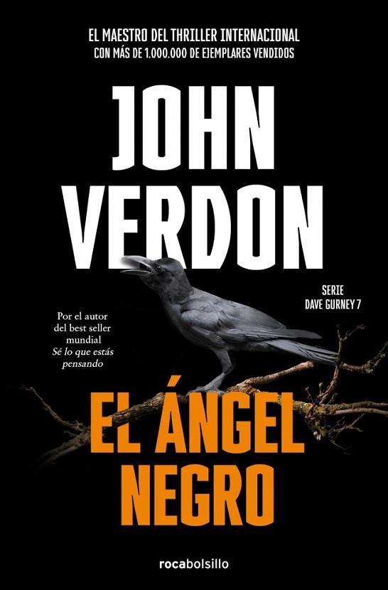 EL ÁNGEL NEGRO (SERIE DAVID GURNEY 7) | 9788418850127 | VERDON, JOHN | Llibres Parcir | Llibreria Parcir | Llibreria online de Manresa | Comprar llibres en català i castellà online