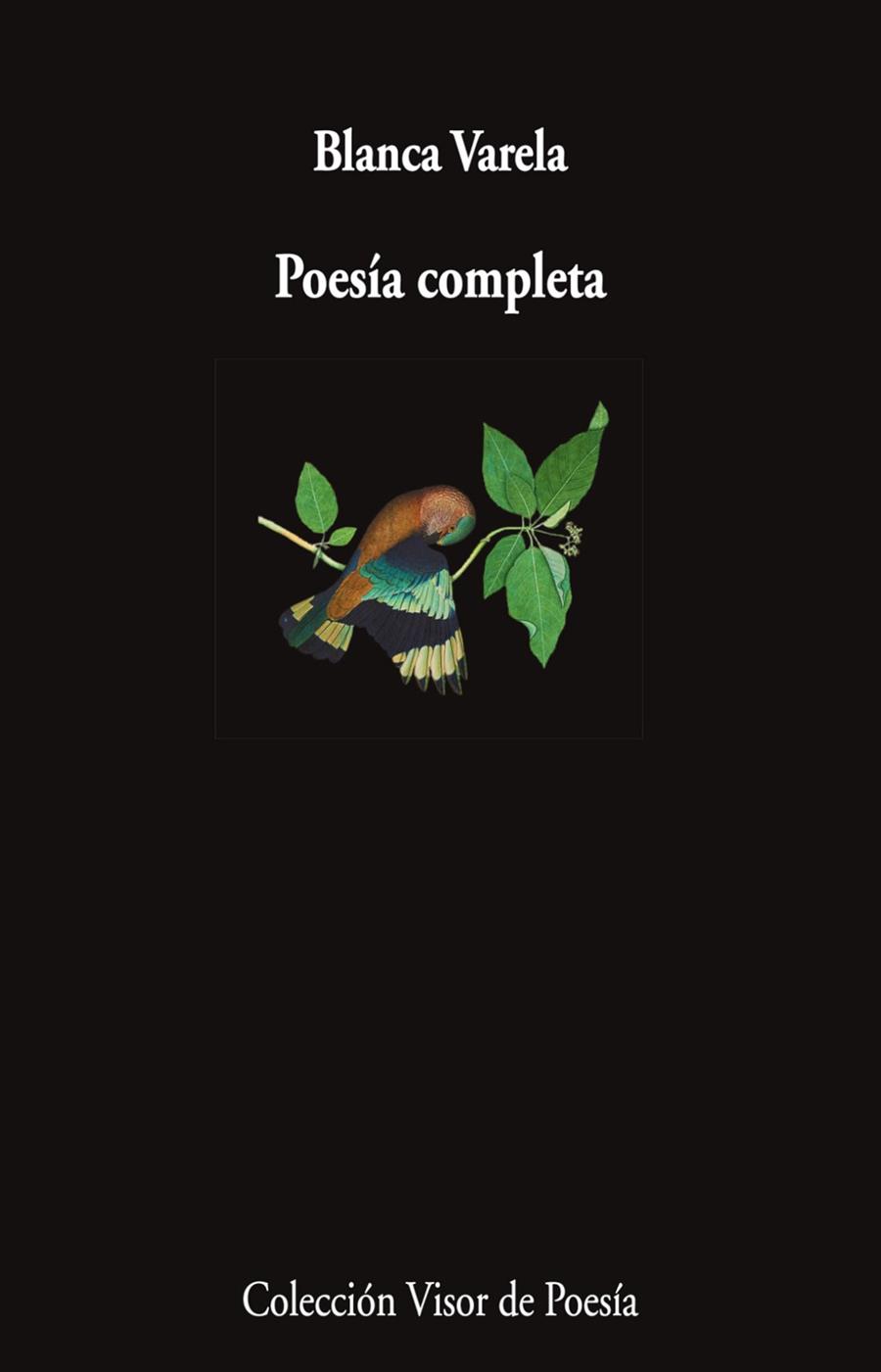 POESÍA COMPLETA | 9788498955163 | VARELA, BLANCA | Llibres Parcir | Librería Parcir | Librería online de Manresa | Comprar libros en catalán y castellano online