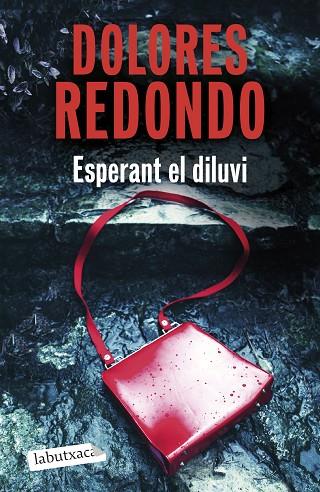 ESPERANT EL DILUVI | 9791387802875 | REDONDO, DOLORES | Llibres Parcir | Llibreria Parcir | Llibreria online de Manresa | Comprar llibres en català i castellà online
