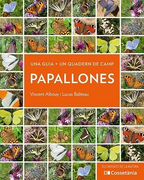 PAPALLONES | 9788413560540 | ALBOUY, VINCENT/BALITEAU, LUCAS | Llibres Parcir | Llibreria Parcir | Llibreria online de Manresa | Comprar llibres en català i castellà online