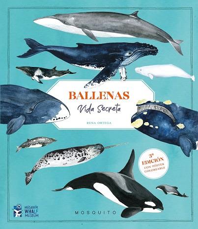BALLENAS. VIDA SECRETA (3ª EDICIÓN CON PÓSTER COLOREABLE) | 9788410417151 | ORTEGA, RENA/ORTEGA, RENA | Llibres Parcir | Librería Parcir | Librería online de Manresa | Comprar libros en catalán y castellano online