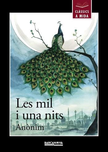 LES MIL I UNA NITS | 9788448942687 | ANÒNIM, ANÒNIM | Llibres Parcir | Llibreria Parcir | Llibreria online de Manresa | Comprar llibres en català i castellà online