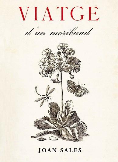 Viatge d'un moribund | 9788473291736 | Sales, Joan | Llibres Parcir | Librería Parcir | Librería online de Manresa | Comprar libros en catalán y castellano online