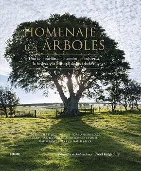 HOMENAJE A LOS ARBOLES | 9788416138562 | KINGSBURY, NOEL/JONES, ANDREA | Llibres Parcir | Librería Parcir | Librería online de Manresa | Comprar libros en catalán y castellano online