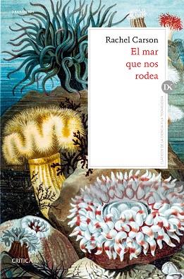 EL MAR QUE NOS RODEA | 9788491991069 | CARSON, RACHEL | Llibres Parcir | Llibreria Parcir | Llibreria online de Manresa | Comprar llibres en català i castellà online