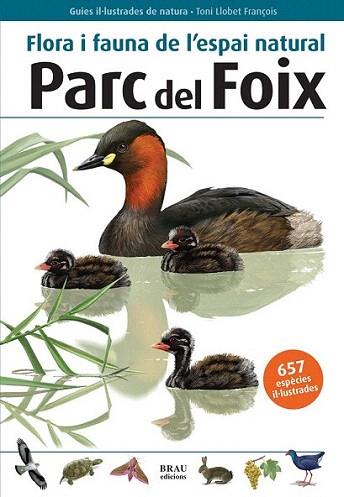 PARC DEL FOIX FLORA I FAURA | 9788496905580 | LLOBET TONI | Llibres Parcir | Llibreria Parcir | Llibreria online de Manresa | Comprar llibres en català i castellà online