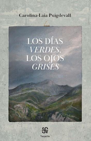 LOS DÍAS VERDES, LOS OJOS GRISES | 9788437508658 | PUIGDEVALL CLAVER, CAROLINA-LAIA | Llibres Parcir | Llibreria Parcir | Llibreria online de Manresa | Comprar llibres en català i castellà online