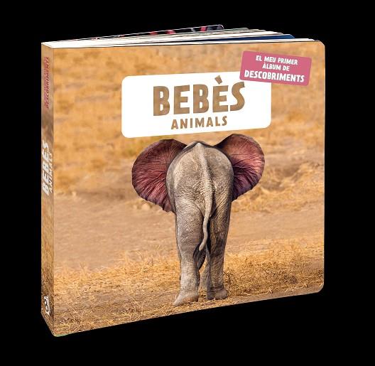 BEBÈS ANIMALS | 9788418762109 | NATURAGENCY | Llibres Parcir | Llibreria Parcir | Llibreria online de Manresa | Comprar llibres en català i castellà online