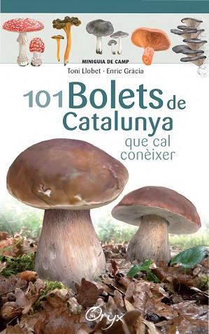 101 BOLETS DE CATALUNYA | 9788490347096 | LLOBET FRANçOIS, TONI/GRàCIA, ENRIC | Llibres Parcir | Librería Parcir | Librería online de Manresa | Comprar libros en catalán y castellano online