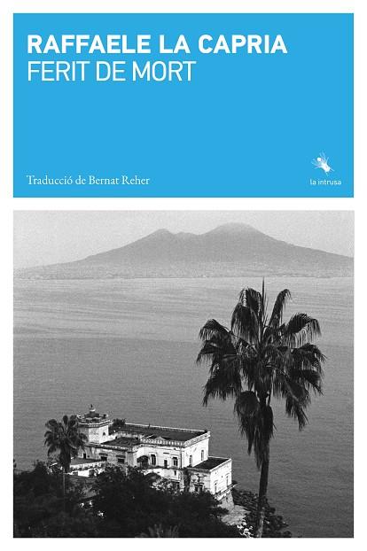 FERIT DE MORT | 9791399140989 | LA CAPRIA, RAFFAELE | Llibres Parcir | Llibreria Parcir | Llibreria online de Manresa | Comprar llibres en català i castellà online