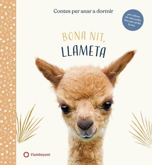 BONA NIT, LLAMETA | 9788417749958 | WOOD, AMANDA | Llibres Parcir | Librería Parcir | Librería online de Manresa | Comprar libros en catalán y castellano online