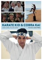 KARATE KID & COBRA KAI DAR CERA PULIR CERA | 9788418320583 | MILLAN,FRANCISCO JAVIER | Llibres Parcir | Librería Parcir | Librería online de Manresa | Comprar libros en catalán y castellano online