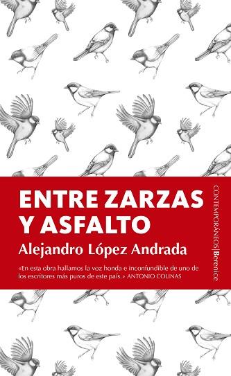ENTRE ZARZAS Y ASFALTO | 9788415441977 | LÓPEZ ANDRADA, ALEJANDRO | Llibres Parcir | Librería Parcir | Librería online de Manresa | Comprar libros en catalán y castellano online