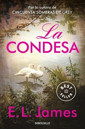 LA CONDESA (MISTER 2) | 9788466373869 | JAMES, E.L. | Llibres Parcir | Librería Parcir | Librería online de Manresa | Comprar libros en catalán y castellano online