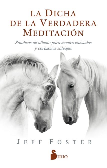 LA DICHA DE LA VERDADERA MEDITACIÓN | 9788418000522 | FOSTER, JEFF | Llibres Parcir | Librería Parcir | Librería online de Manresa | Comprar libros en catalán y castellano online
