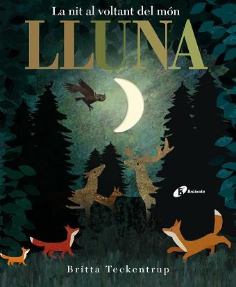 LLUNA | 9788499068497 | HEGARTY, PATRICIA | Llibres Parcir | Librería Parcir | Librería online de Manresa | Comprar libros en catalán y castellano online