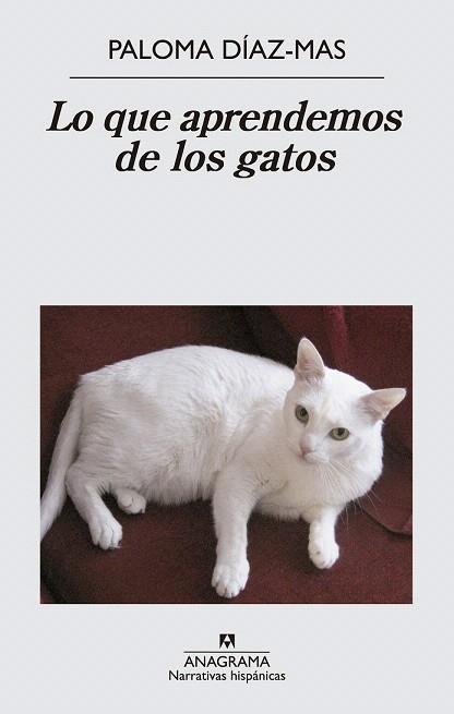 LO QUE APRENDEMOS DE LOS GATOS | 9788433997807 | DÍAZ MAS, PALOMA | Llibres Parcir | Llibreria Parcir | Llibreria online de Manresa | Comprar llibres en català i castellà online