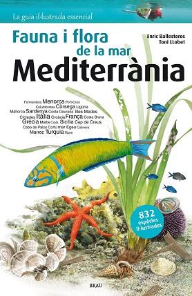 FLORA I FAUNA DE LA MAR MEDITERRÀNIA | 9788415885252 | BALLESTEROS SAGARRA, ENRIC | Llibres Parcir | Librería Parcir | Librería online de Manresa | Comprar libros en catalán y castellano online