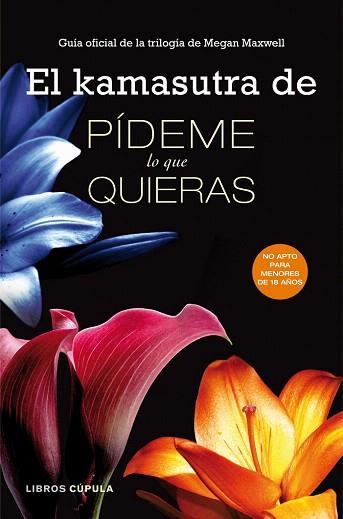 EL KAMASUTRA DE PÍDEME LO QUE QUIERAS | 9788448018290 | AA. VV. | Llibres Parcir | Librería Parcir | Librería online de Manresa | Comprar libros en catalán y castellano online