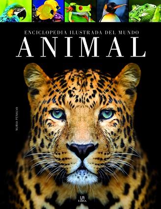 ENCICLOPEDIA ILUSTRADA DEL MUNDO ANIMAL | 9788466238045 | PENALVA COMENDADOR, NURIA | Llibres Parcir | Llibreria Parcir | Llibreria online de Manresa | Comprar llibres en català i castellà online