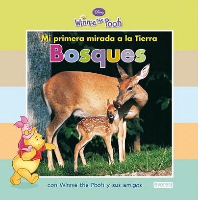 WINNIE THE POOH BOSQUES | 9788444164243 | Llibres Parcir | Librería Parcir | Librería online de Manresa | Comprar libros en catalán y castellano online