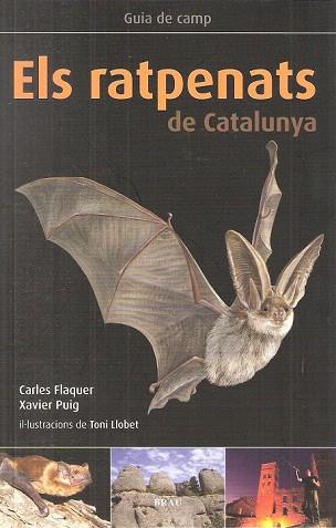 RATPENATS DE CATALUNYA, ELS | 9788496905795 | FLAQUER, CARLES/ PUIG, XAVIER/ LLOBET, TONI | Llibres Parcir | Llibreria Parcir | Llibreria online de Manresa | Comprar llibres en català i castellà online