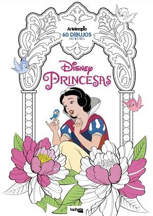 ARTETERAPIA. PRINCESAS DISNEY | 9788416857265 | HACHETTE HEROES | Llibres Parcir | Librería Parcir | Librería online de Manresa | Comprar libros en catalán y castellano online