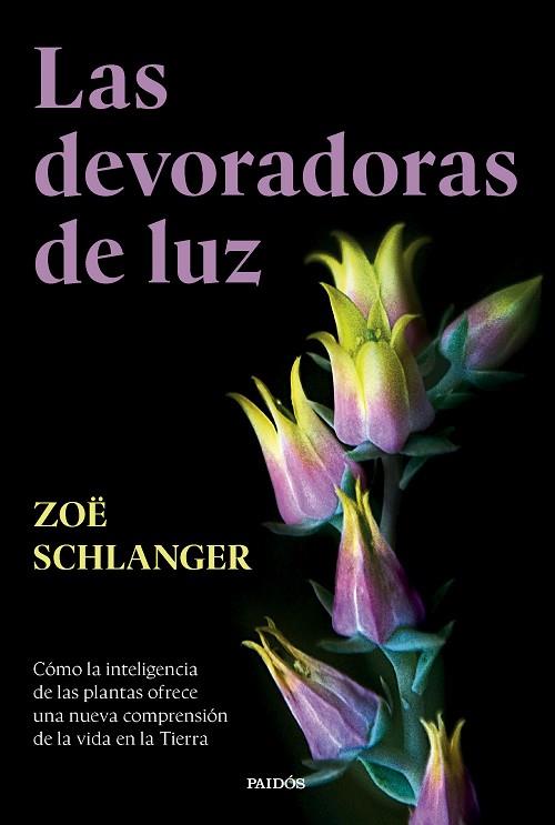 LAS DEVORADORAS DE LUZ | 9788449343742 | SCHLANGER, ZOË | Llibres Parcir | Llibreria Parcir | Llibreria online de Manresa | Comprar llibres en català i castellà online