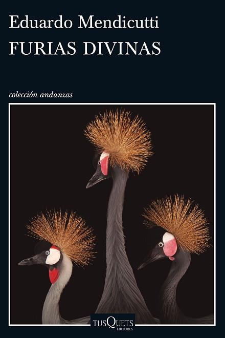 FURIAS DIVINAS | 9788490662465 | EDUARDO MENDICUTTI | Llibres Parcir | Llibreria Parcir | Llibreria online de Manresa | Comprar llibres en català i castellà online