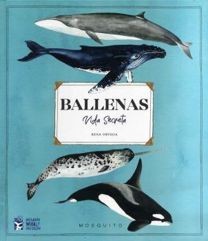 BALLENAS. VIDA SECRETA | 9788412247947 | ORTEGA, RENA | Llibres Parcir | Llibreria Parcir | Llibreria online de Manresa | Comprar llibres en català i castellà online