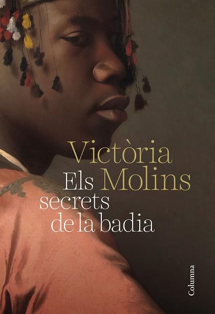 ELS SECRETS DE LA BADIA | 9788466425070 | MOLINS, MARIA VICTÒRIA | Llibres Parcir | Llibreria Parcir | Llibreria online de Manresa | Comprar llibres en català i castellà online