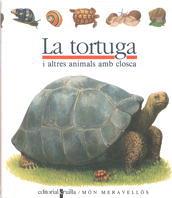 LA TORTUGA | 9788476298206 | Llibres Parcir | Librería Parcir | Librería online de Manresa | Comprar libros en catalán y castellano online