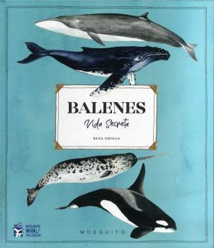 BALENES VIDA SECRETA | 9788412247954 | ORTEGA, RENA | Llibres Parcir | Llibreria Parcir | Llibreria online de Manresa | Comprar llibres en català i castellà online