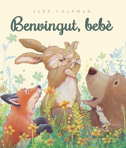 BENVINGUT, BEBÈ | 9788419912640 | CHAPMAN, JANE | Llibres Parcir | Llibreria Parcir | Llibreria online de Manresa | Comprar llibres en català i castellà online