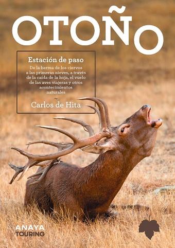 OTOÑO. ESTACIÓN DE PASO | 9788491586685 | HITA MORENO, CARLOS DE | Llibres Parcir | Librería Parcir | Librería online de Manresa | Comprar libros en catalán y castellano online