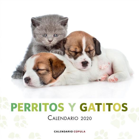 CALENDARIO PERRITOS Y GATITOS 2020 | 9788448026172 | AA. VV. | Llibres Parcir | Llibreria Parcir | Llibreria online de Manresa | Comprar llibres en català i castellà online