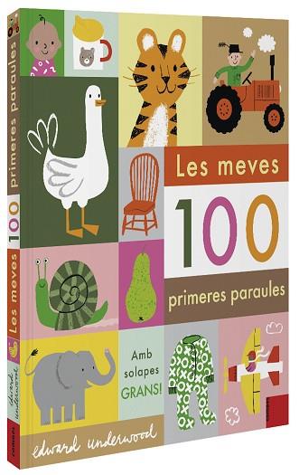 LES MEVES 100 PRIMERES PARAULES | 9788491015932 | UNDERWOOD, EDWARD | Llibres Parcir | Llibreria Parcir | Llibreria online de Manresa | Comprar llibres en català i castellà online